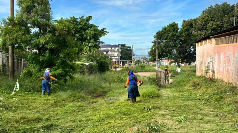 rocagem-ceilandia-1536x864